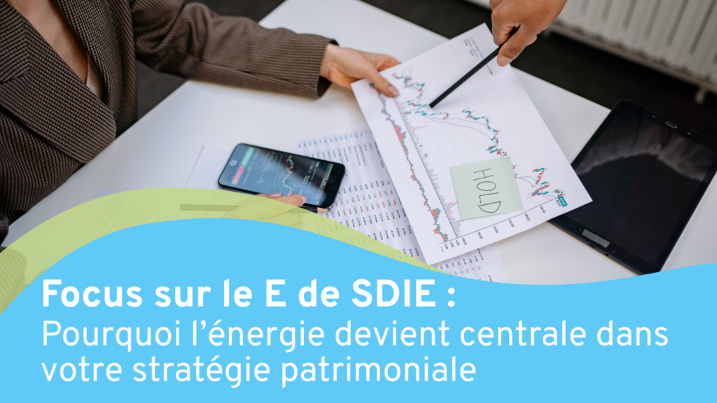 Visuel descriptif de l'article sur le E de SDIE